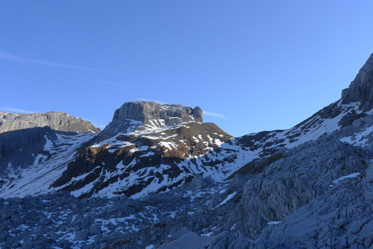 p1000596.jpg