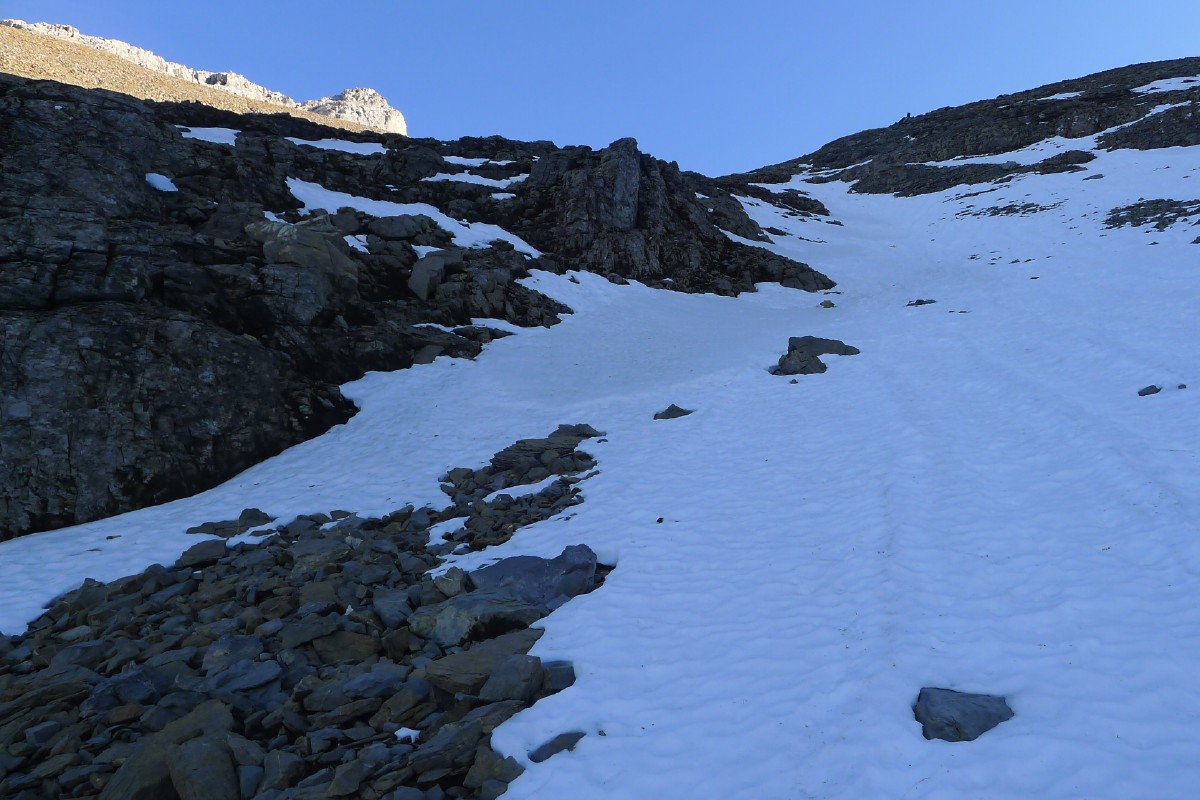 p1000610.jpg