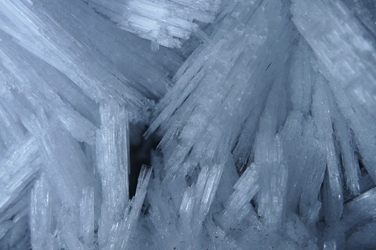 p1000630.jpg
