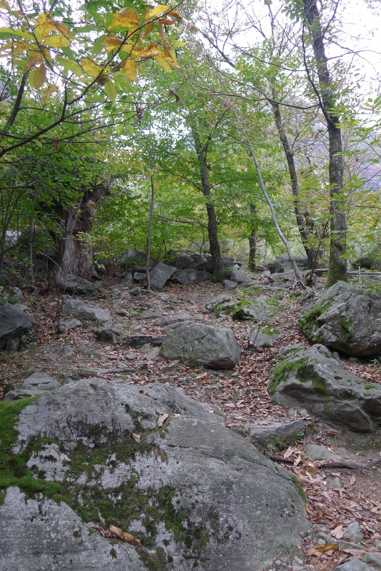 p1000388.jpg