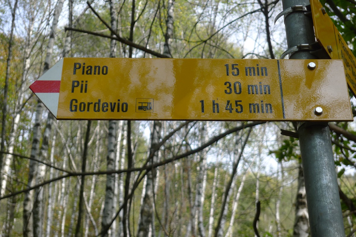 p1000414.jpg