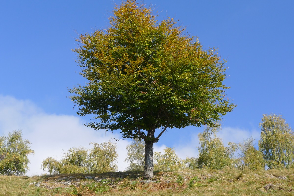 p1000425.jpg