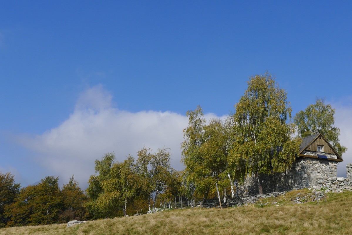p1000427.jpg