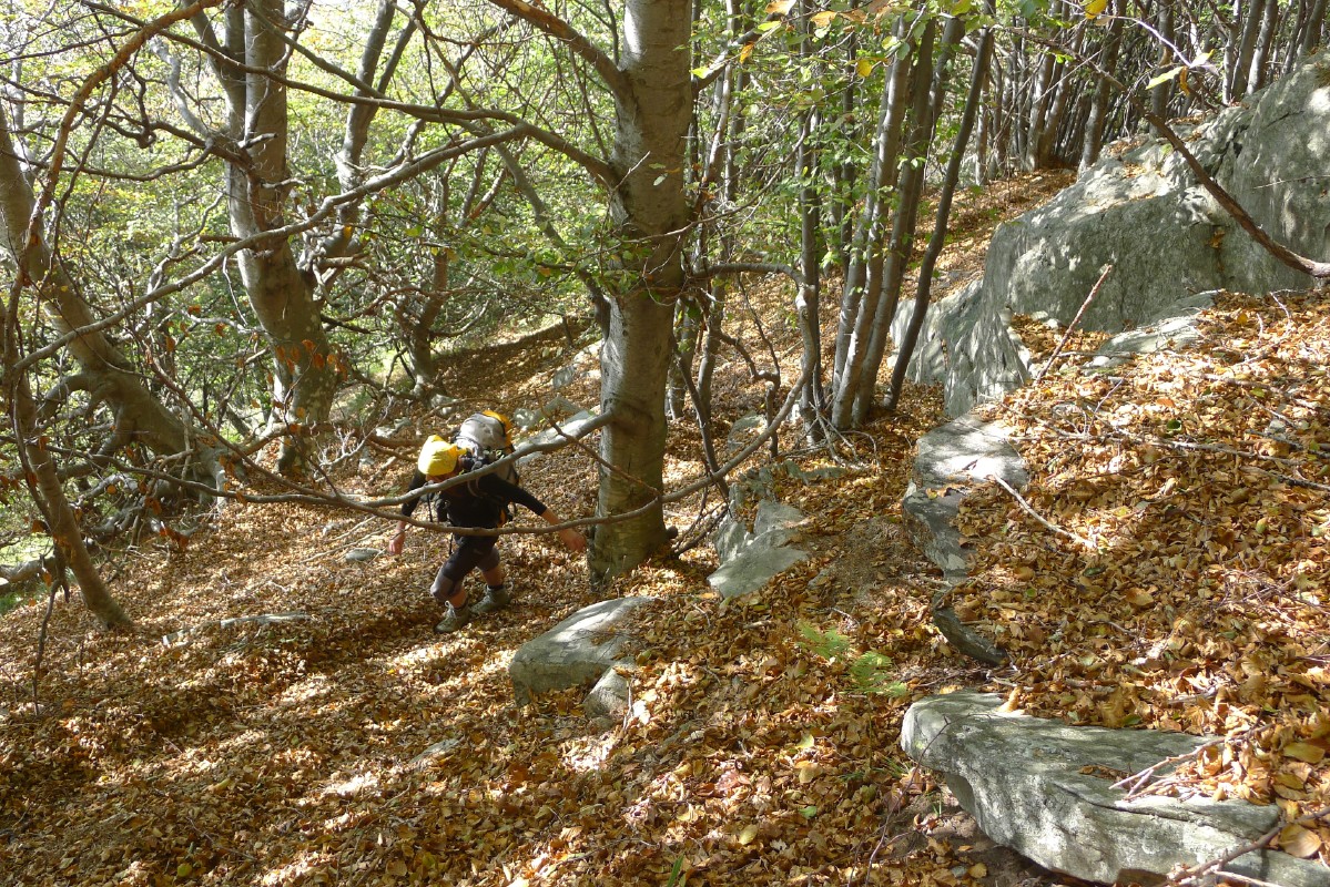 p1000433.jpg