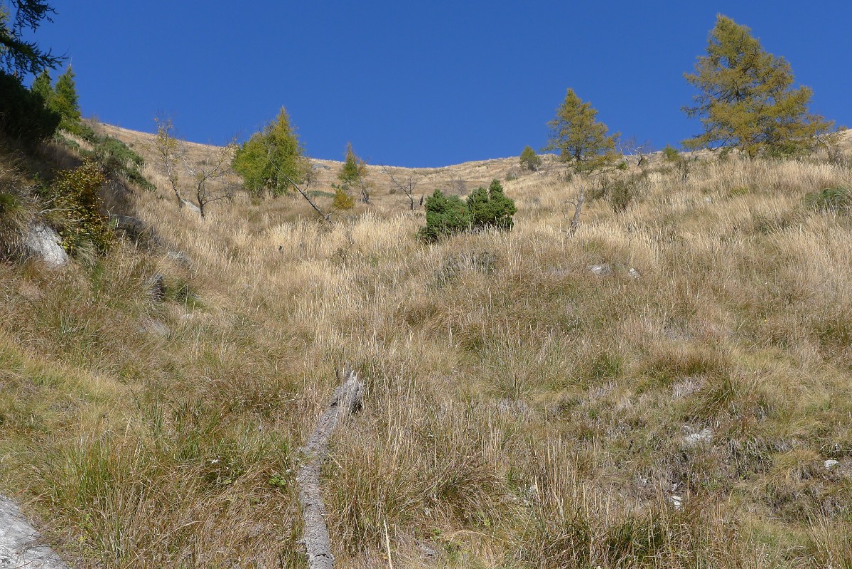 p1000434.jpg