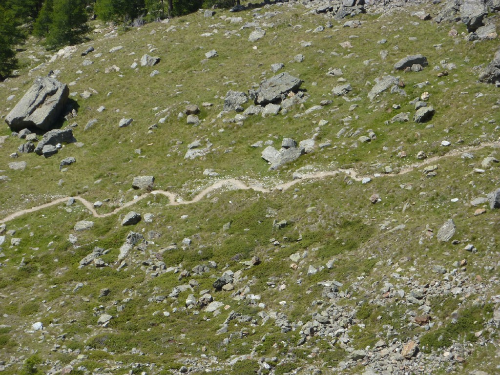 p1030269.jpg