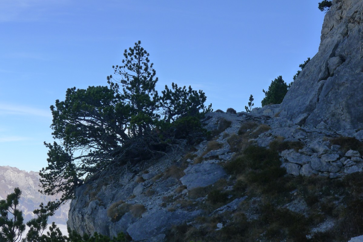 p1000543.jpg