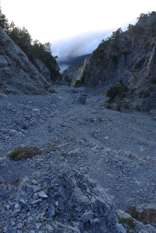 p1000546.jpg
