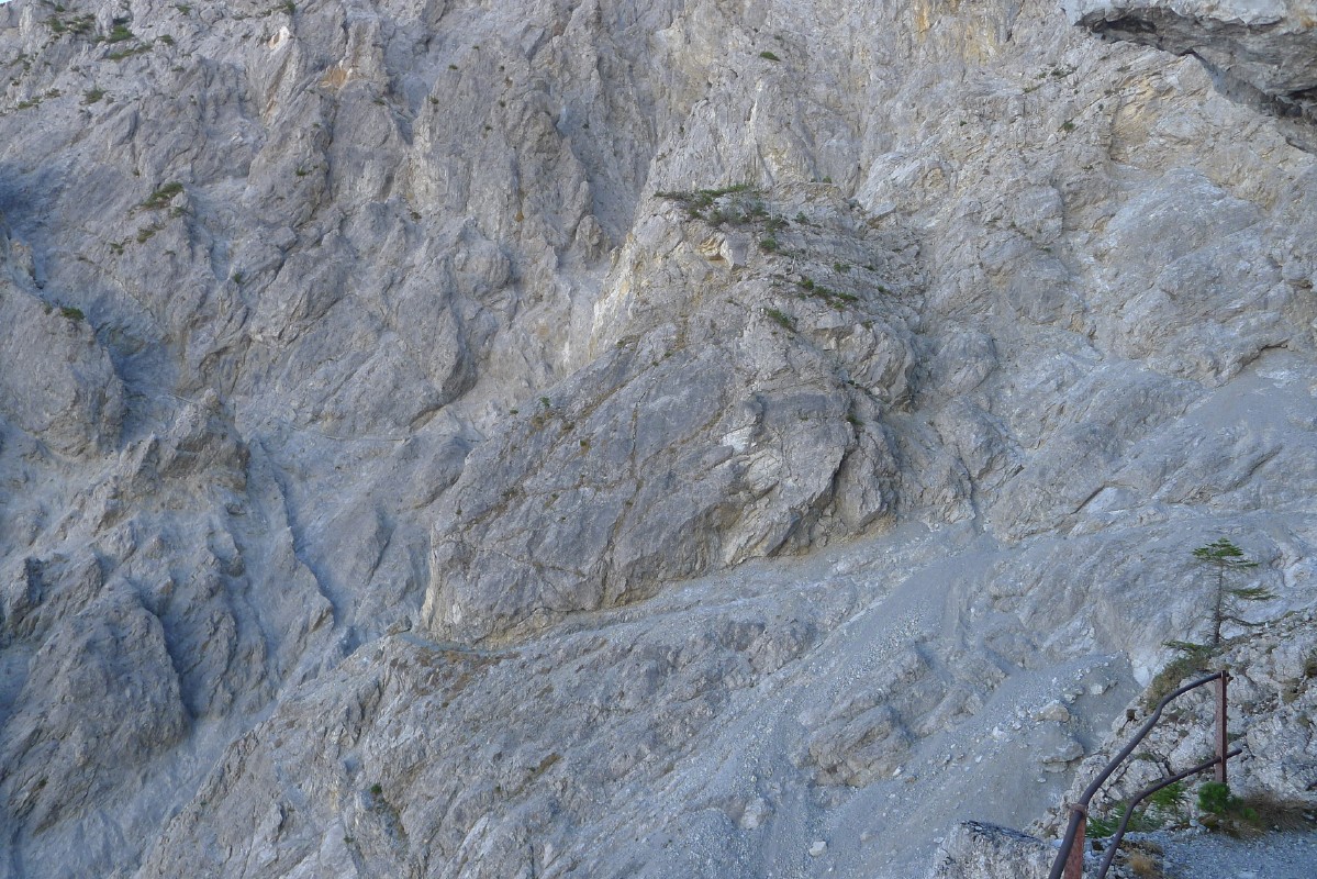 p1000548.jpg