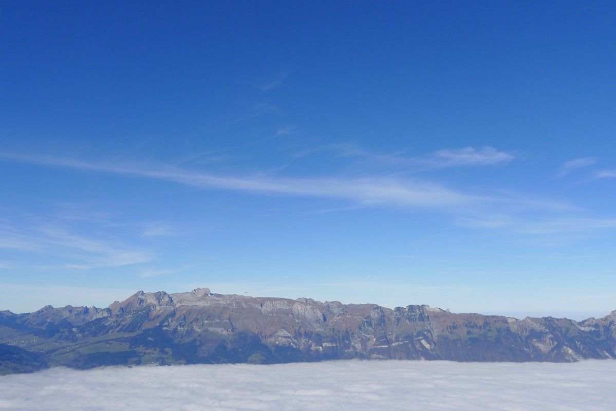 p1000550.jpg