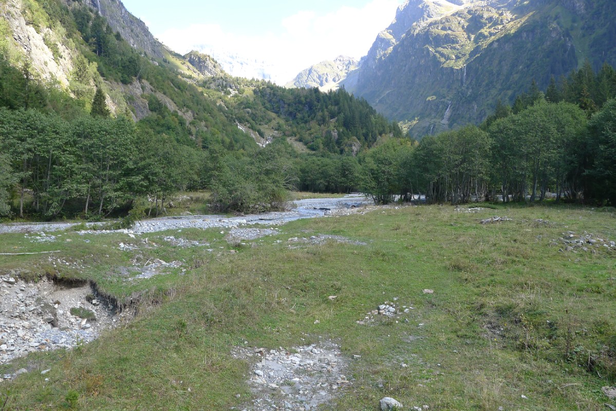 p1000303.jpg