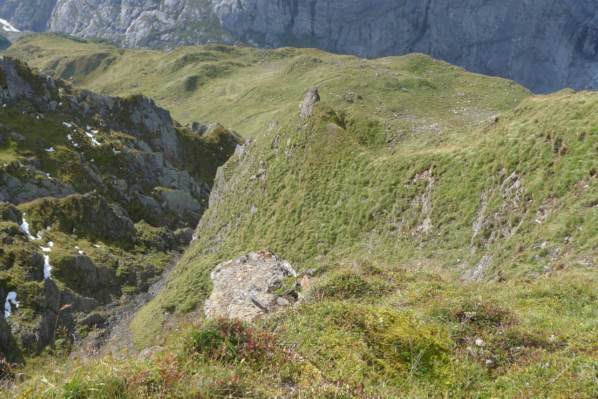 p1000335.jpg