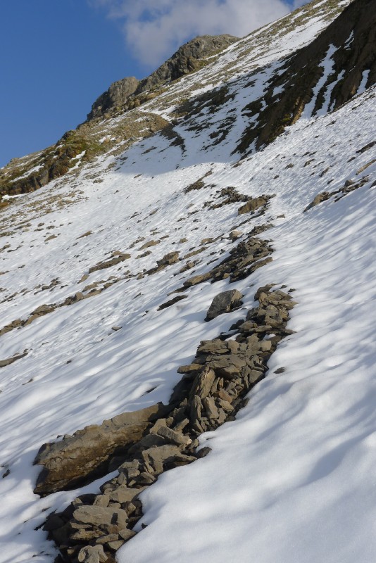 p1000338.jpg