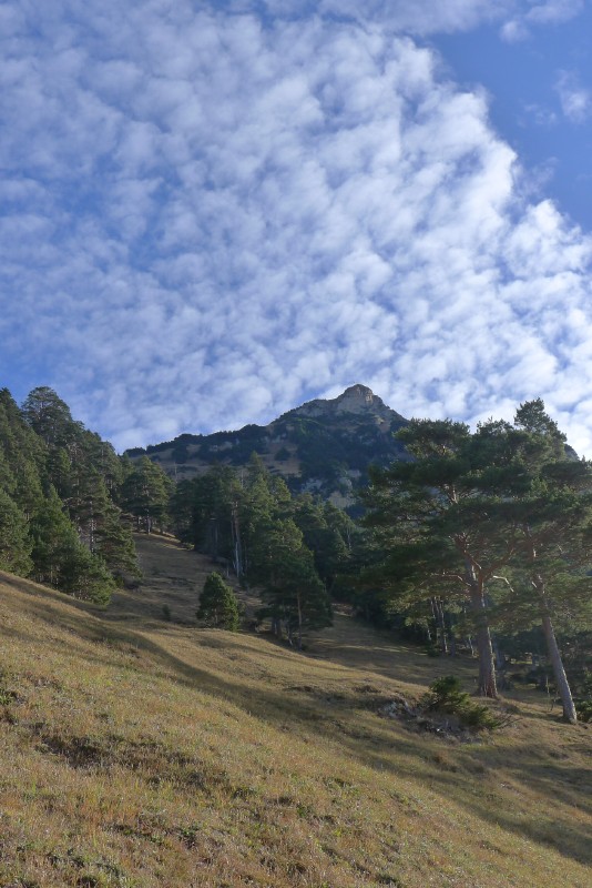 p1000564.jpg