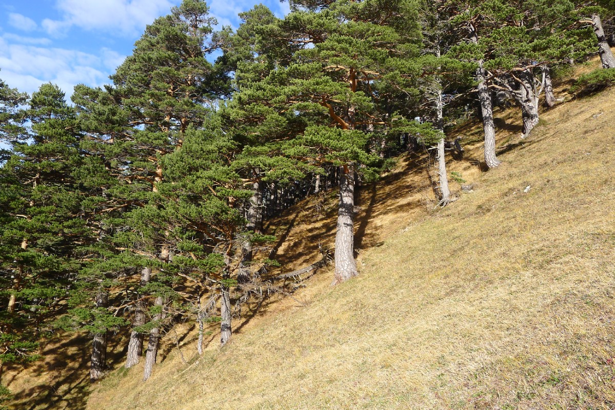 p1000565.jpg