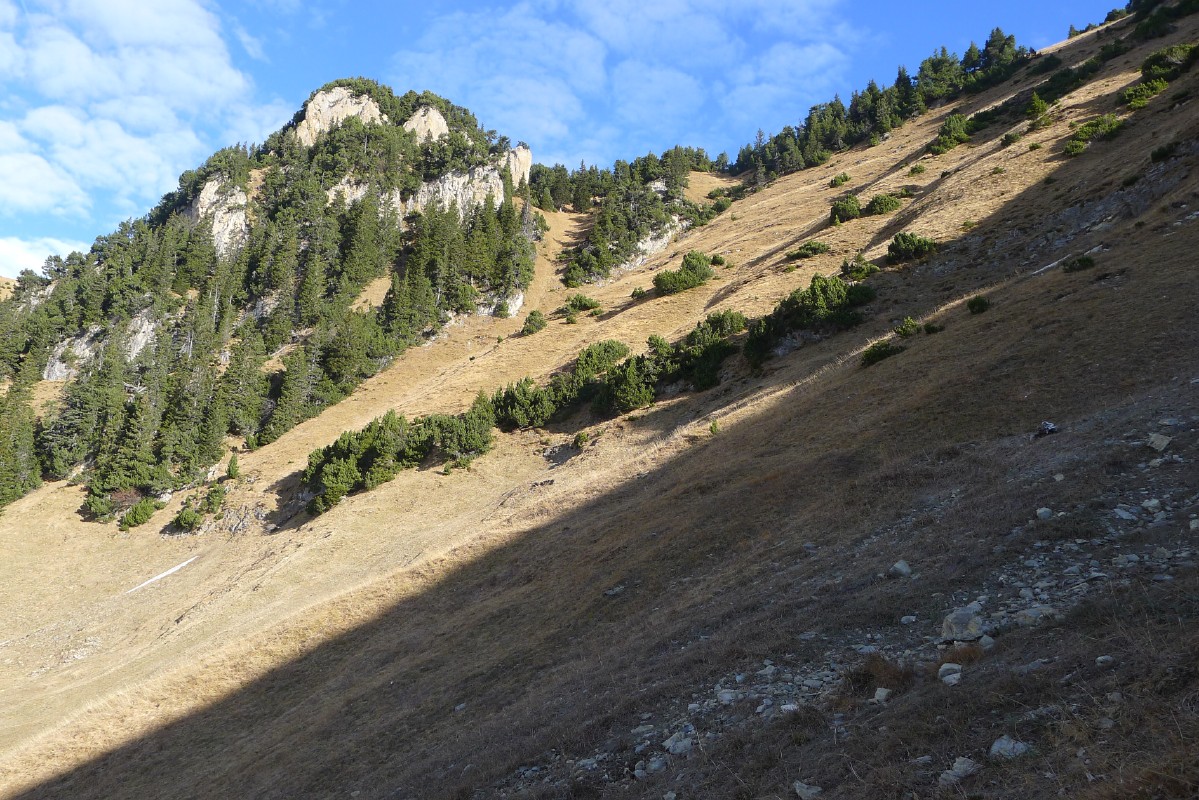 p1000571.jpg