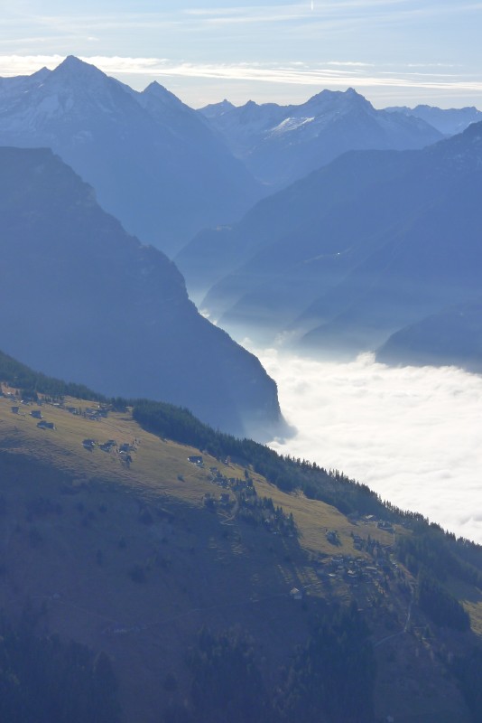 p1000574.jpg