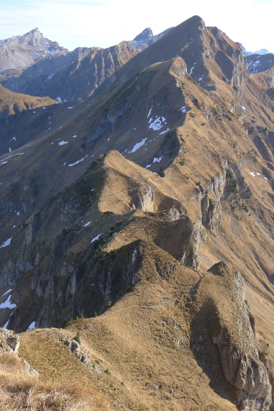 p1000578.jpg