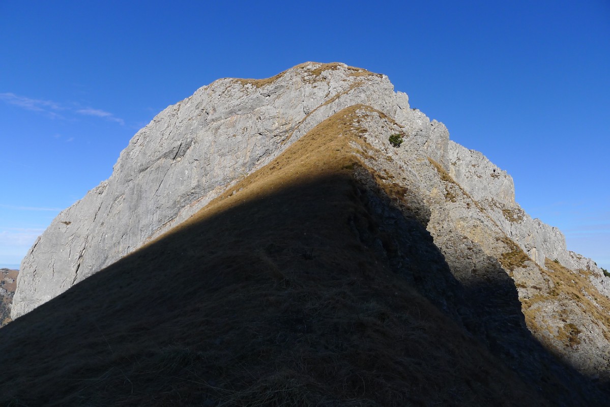 p1000581.jpg