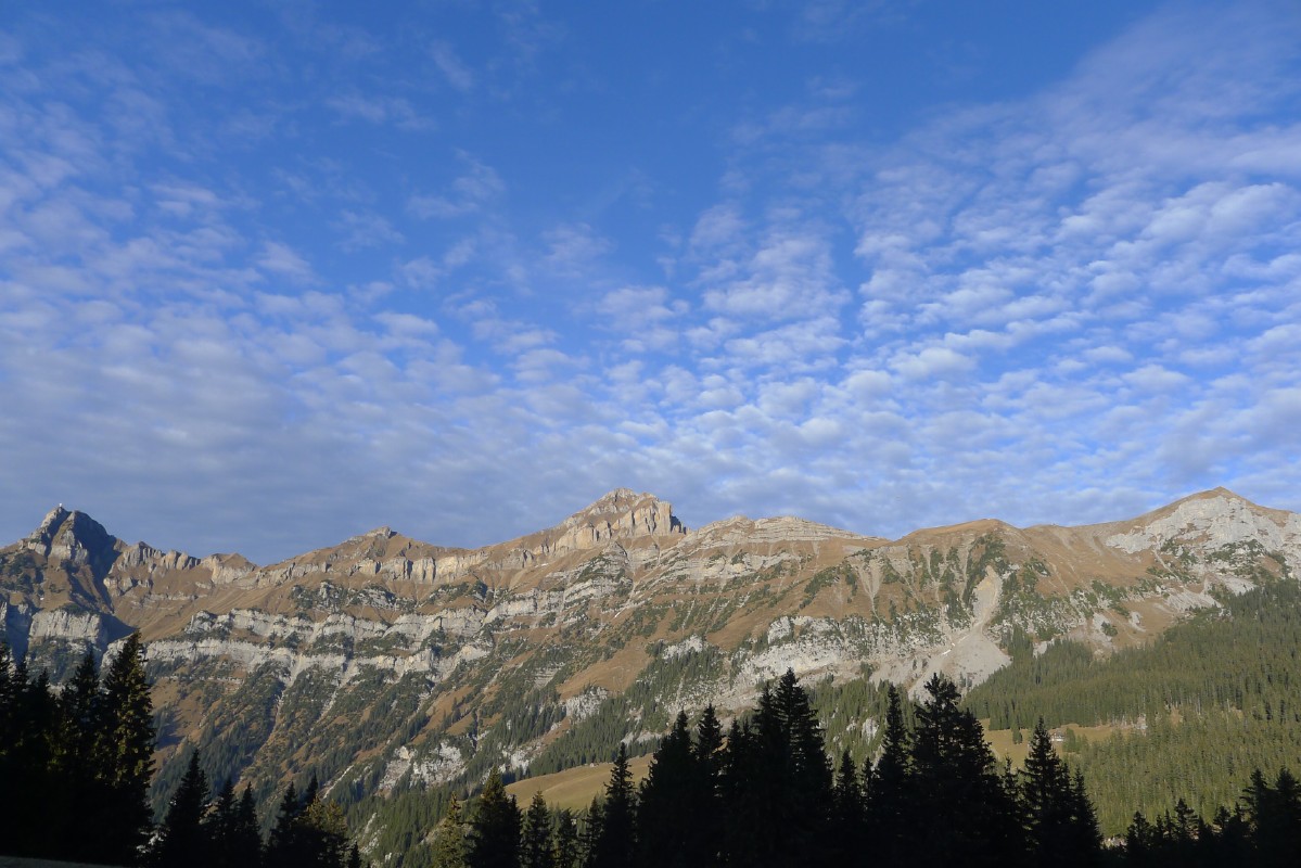 p1000592.jpg