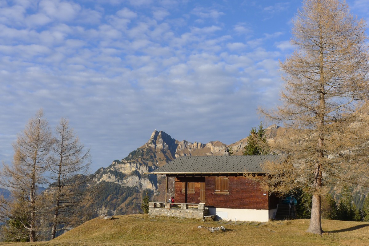 p1000593.jpg