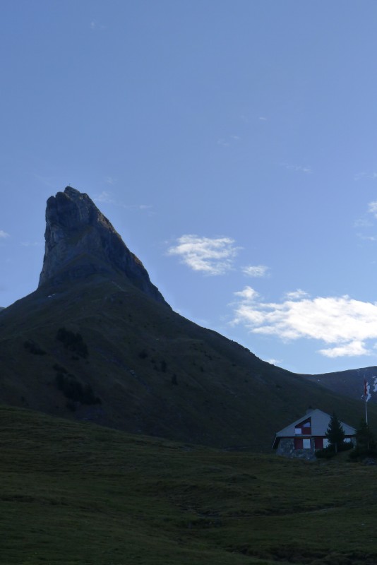 p1000438.jpg