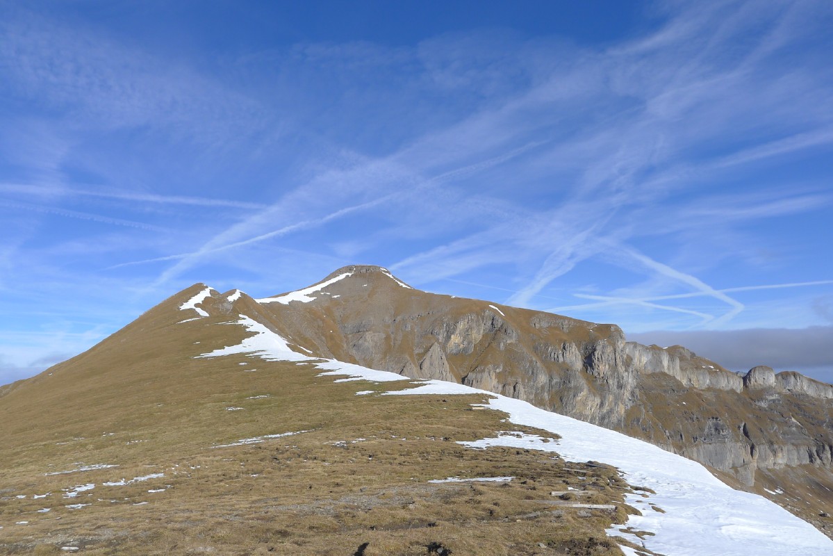 p1000447.jpg