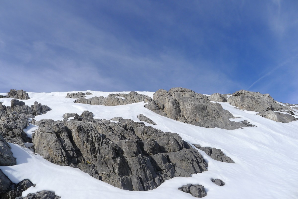 p1000472.jpg