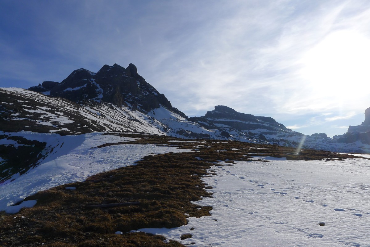 p1000498.jpg