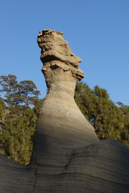 p1020251.jpg