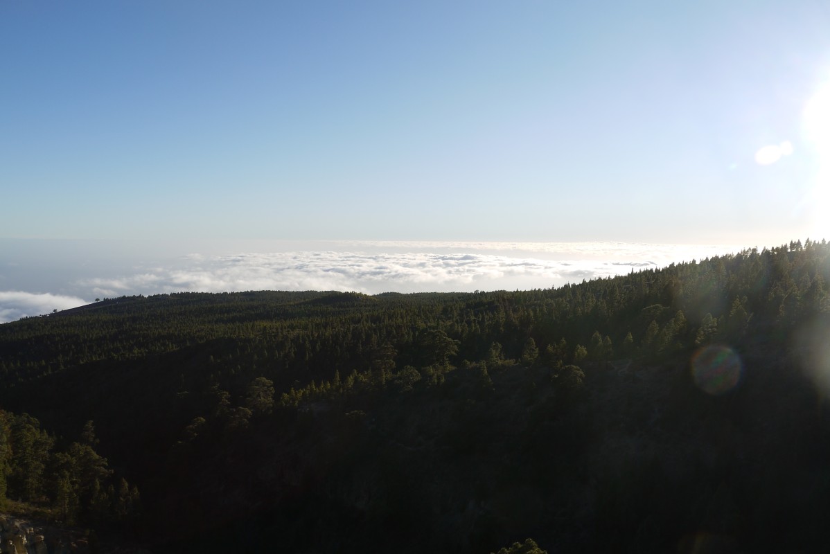p1020263.jpg