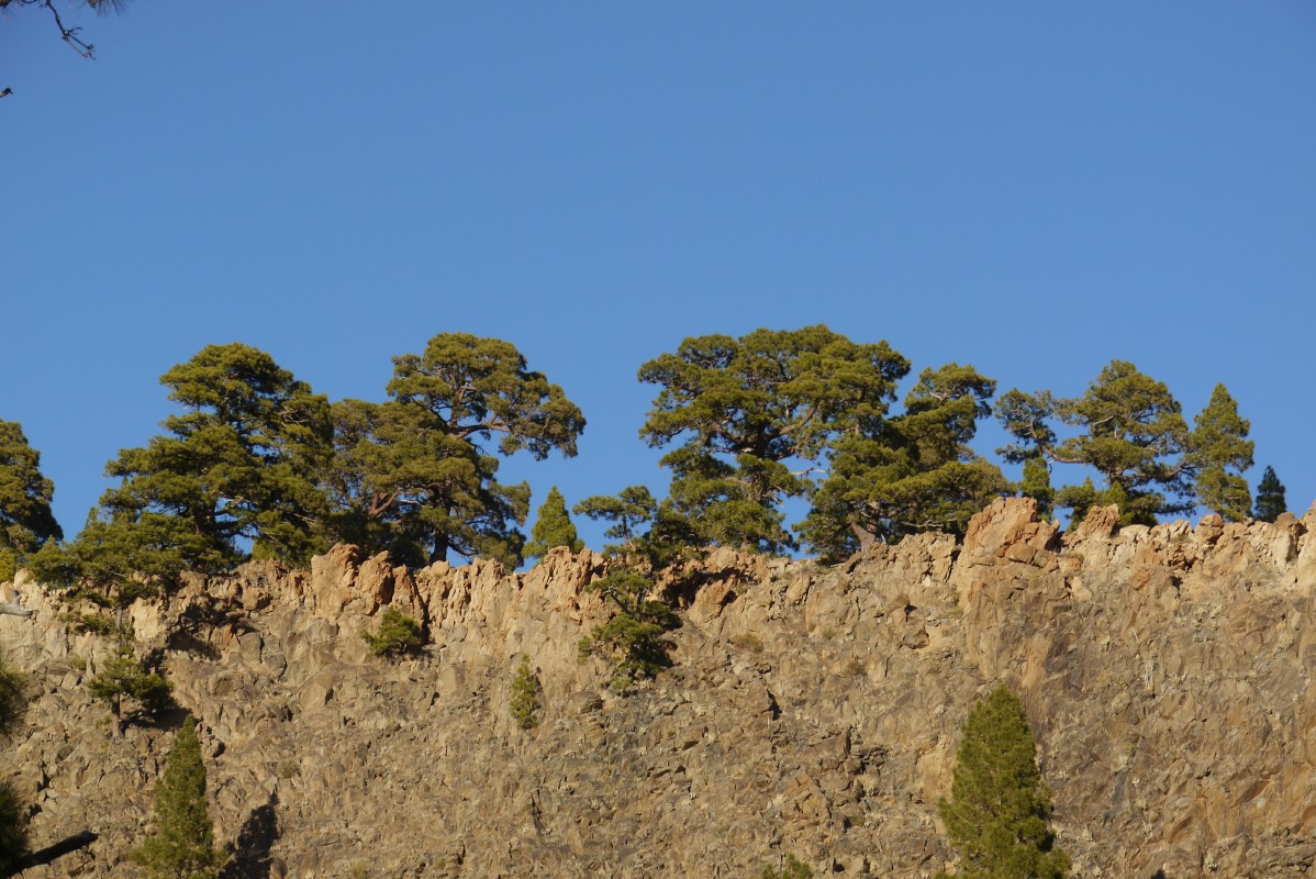 p1020265.jpg