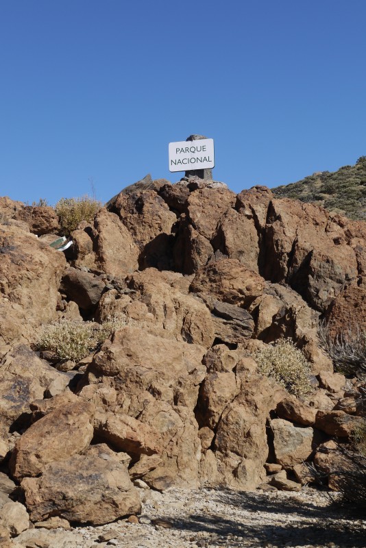 p1020274.jpg