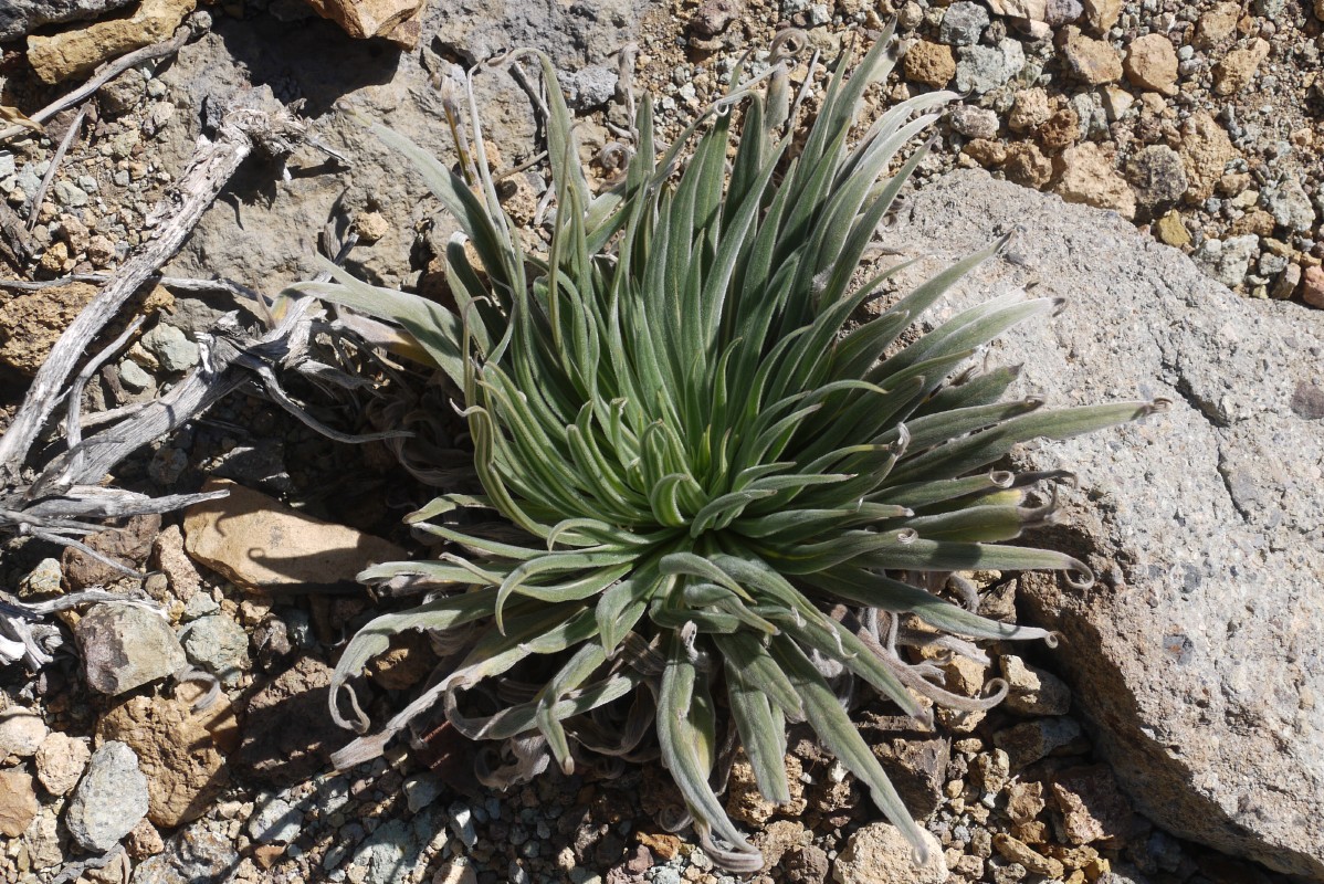 p1020320.jpg