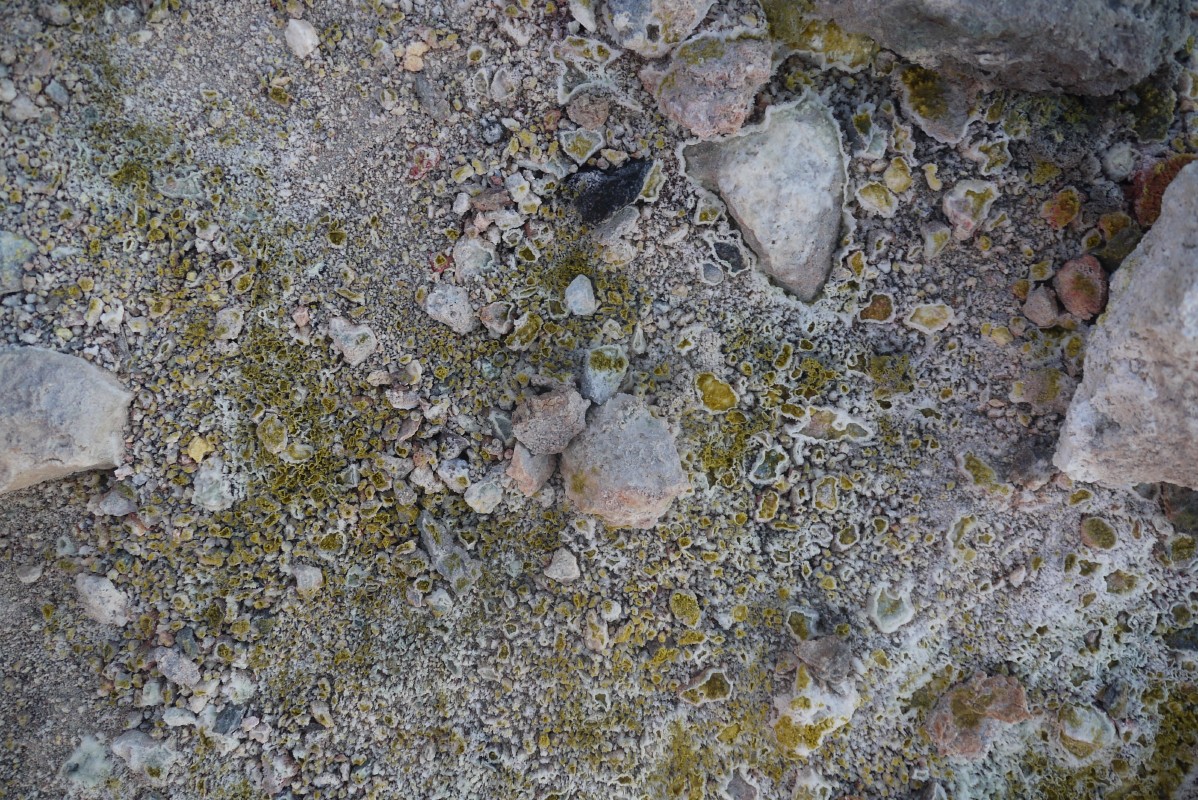 p1020396.jpg