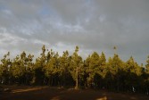 p1020436.jpg