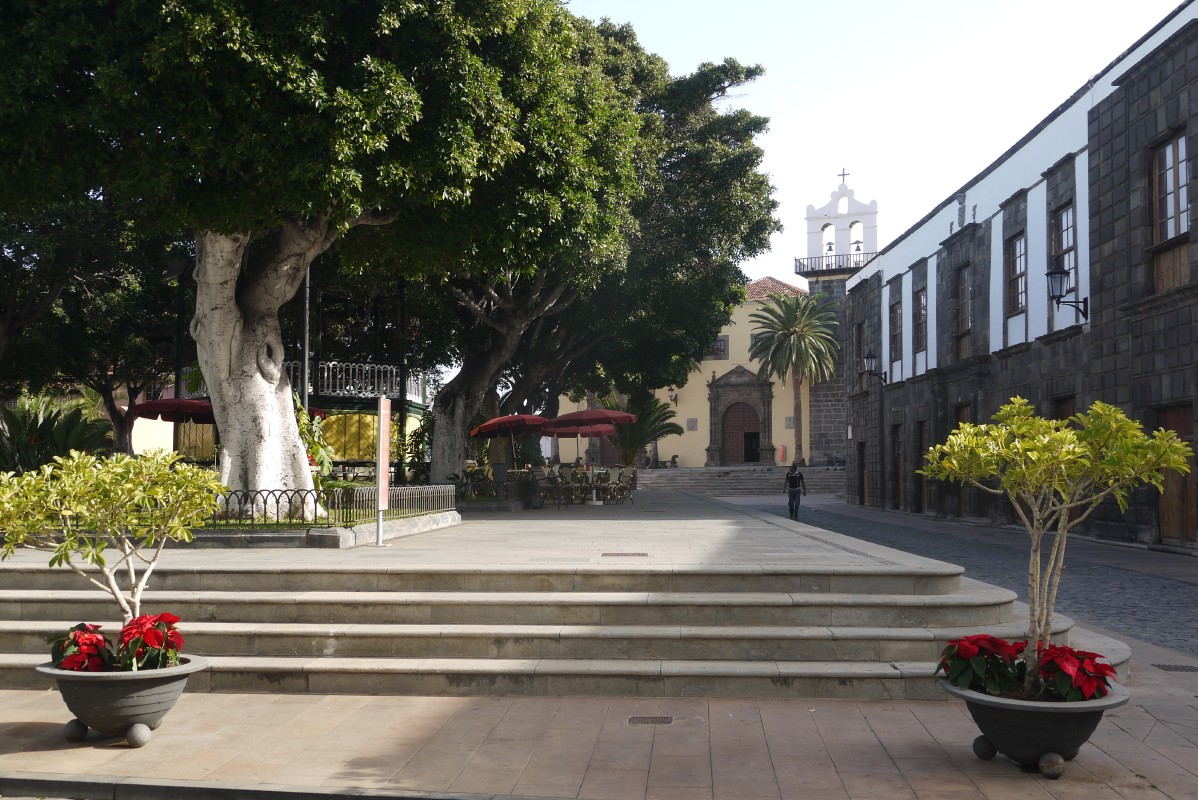 p1020496.jpg
