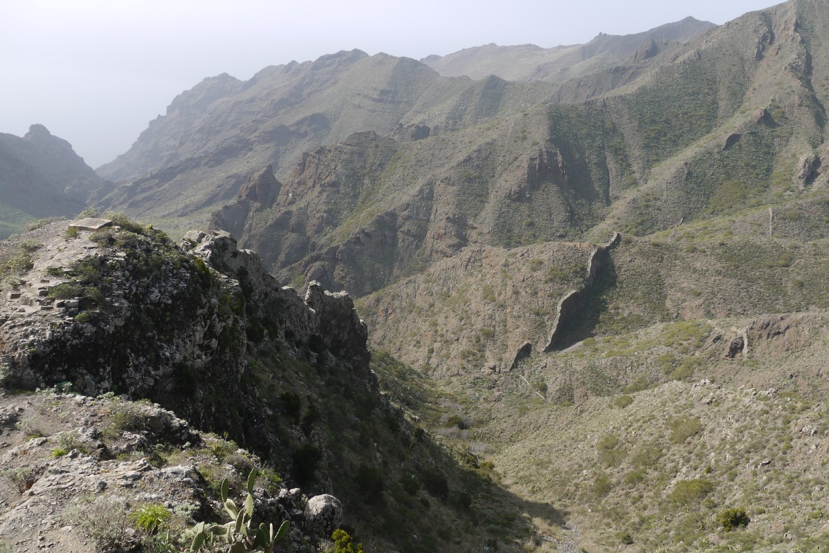p1020543.jpg