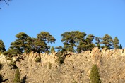 Paisaje Lunar