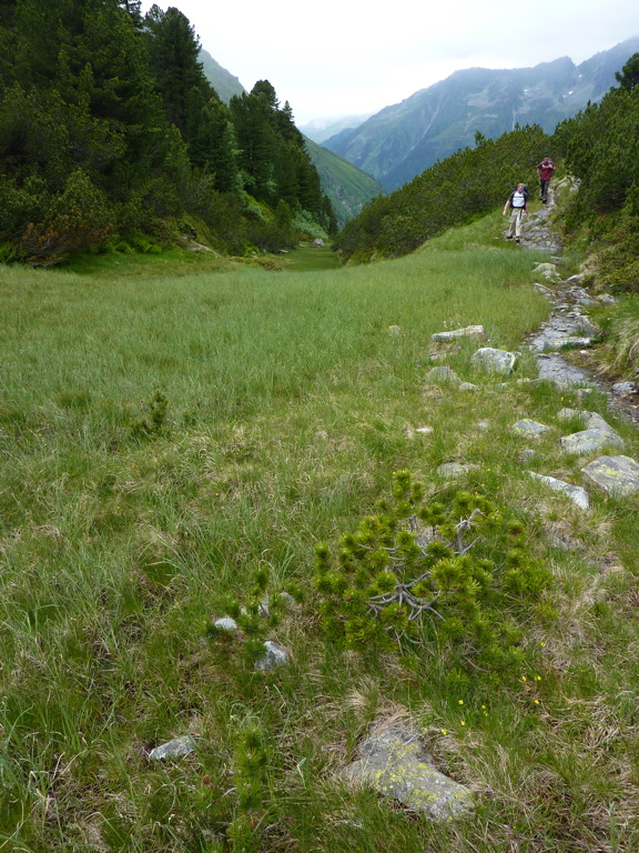 p1020907.jpg