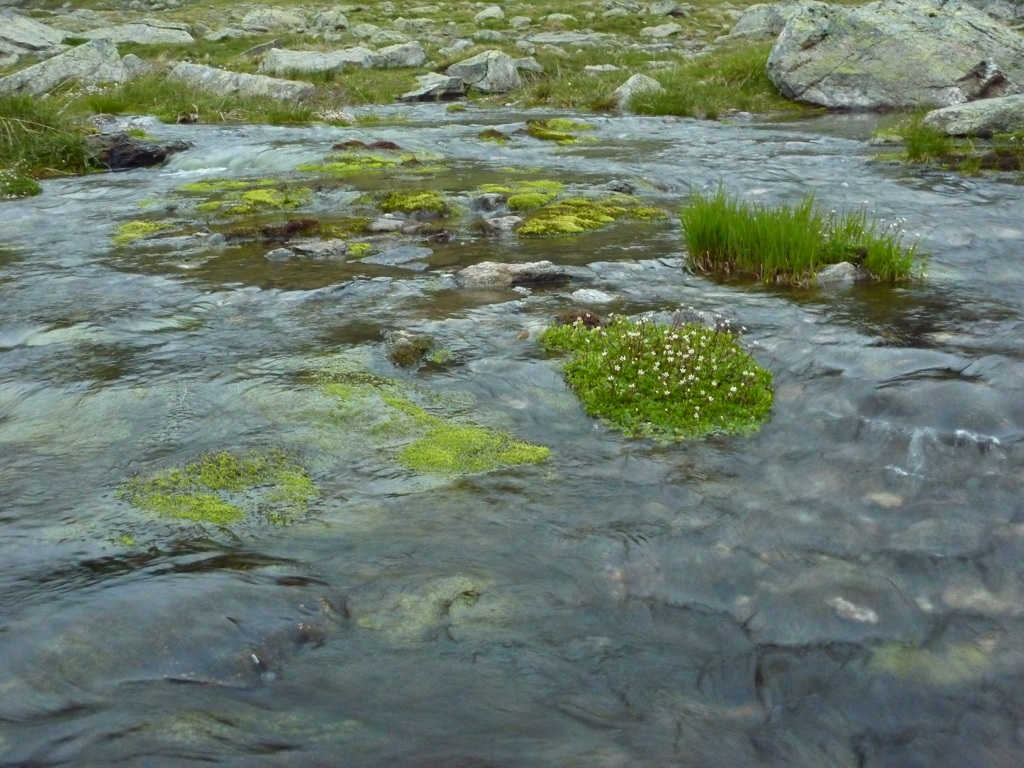p1020914.jpg