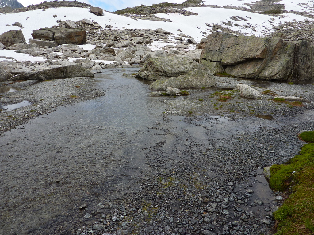 p1020945.jpg