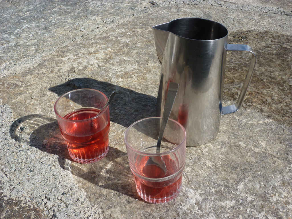 p1020831.jpg