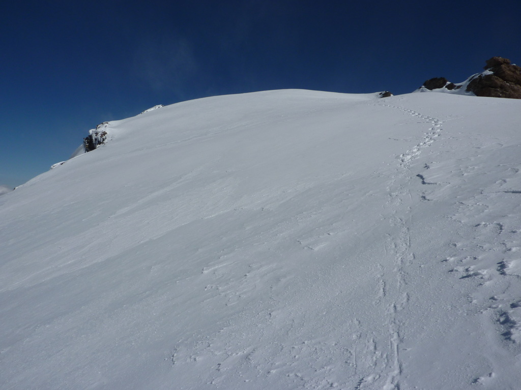 p1020856.jpg
