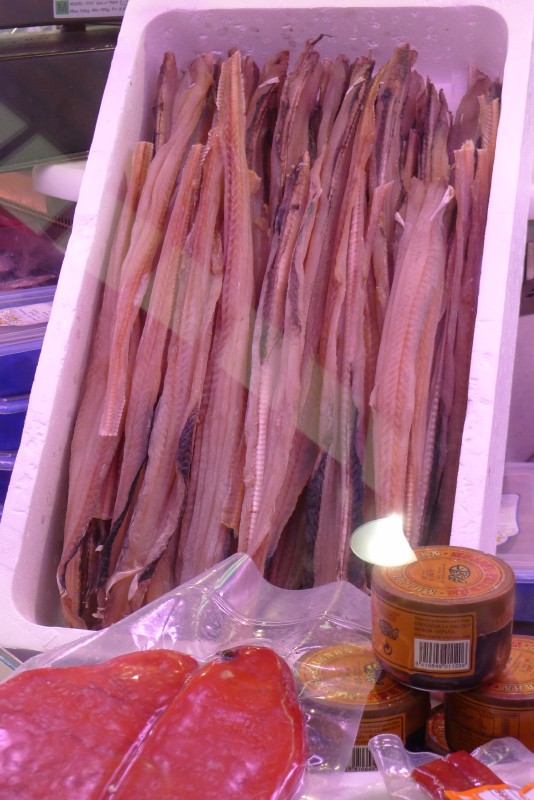 p1020847.jpg