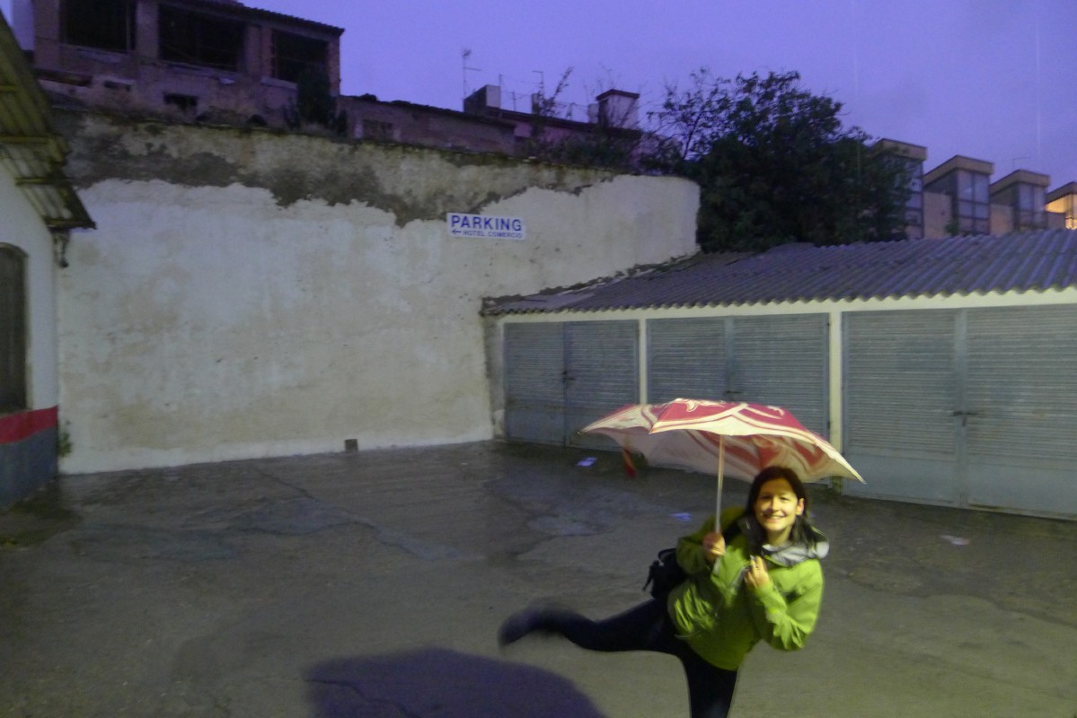 p1020869.jpg
