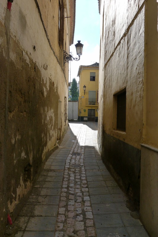 p1020878.jpg