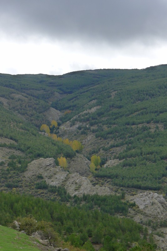 p1020924.jpg