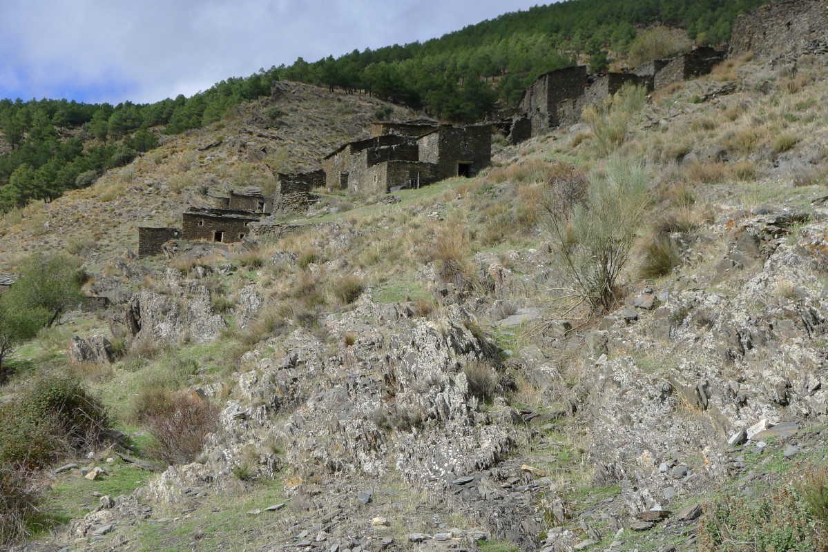 p1020931.jpg