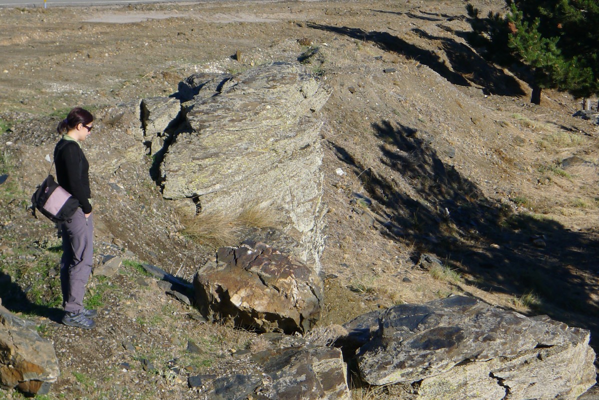 p1020940.jpg